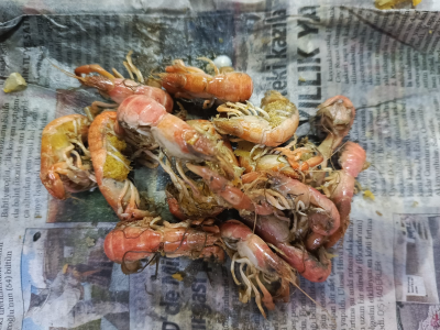Salamura Mamun